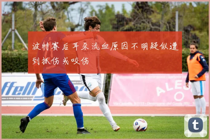 波特赛后耳朵流血原因不明疑似遭到抓伤或咬伤